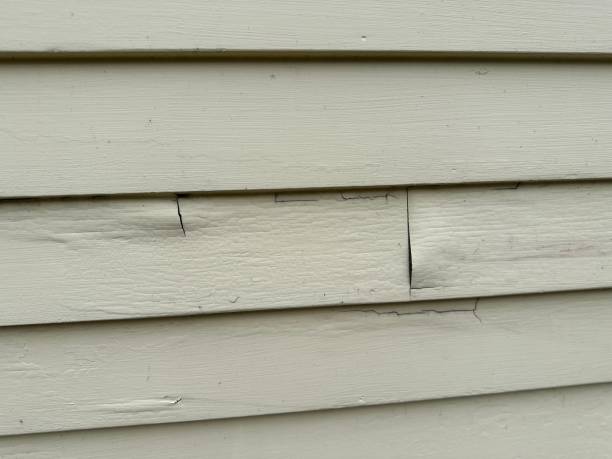 Best Stone Veneer Siding  in Quitman, TX